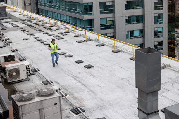 Best Flat Roofing  in , NM