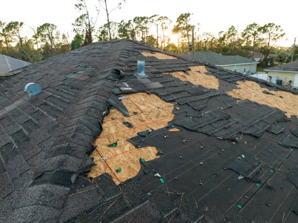 , NM Roofing Service Pros